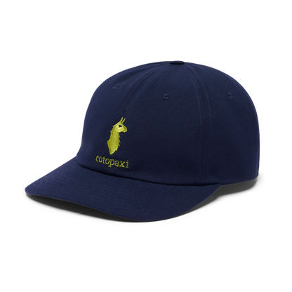 Cotopaxi Dad Hat